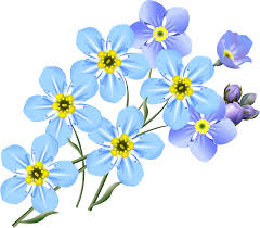 Image for Forget-me-not Memory Café