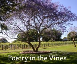 Image for POETRY IN THE VINES