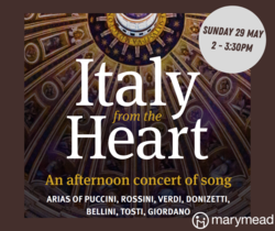 Image for Italy from the Heart