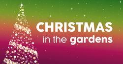 Image for Christmas in the Gardens