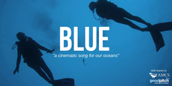 Image for Blue The Film