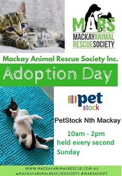Image for MARS CAT ADOPTION DAY