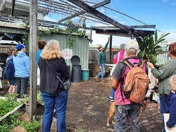 Image for Composting and Worm Farm Workshop