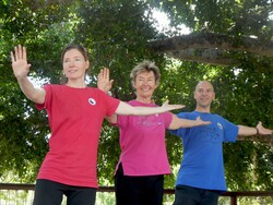 Image for Introductory Tai Chi Session 