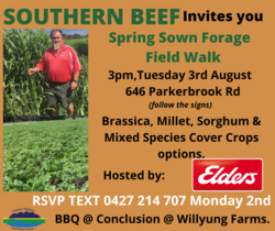 Image for Summer Sown Forage Field Walk