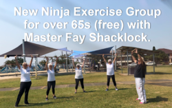 Image for Ninja Nannies Exercise Group for over 65's