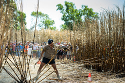 Image for Australian Hand Cane Cutting Championships - Sweet Days Hot Nights Festival