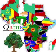 Queensland African Migrant Services (QAMS)