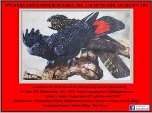 Wylahra Grove Progress Association