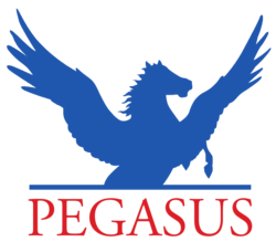 PEGASUS RIDING FOR THE DISABLED