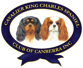 The Cavalier King Charles Spaniel Club Of Canberra
