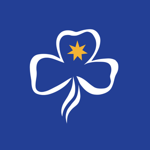 The Girl Guides Association Of New South Wales
