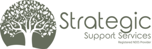 Strategic Support Services