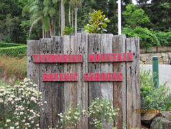 Tamborine Mountain Botanic Gardens Logo