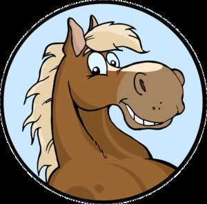 Currumbin District Horse Club Logo