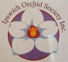 Ipswich Orchid Society Logo