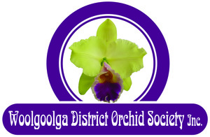Woolgoolga District Orchid Society Inc. Logo