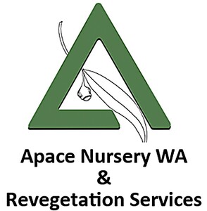 Apace Aid Aid Hall Logo
