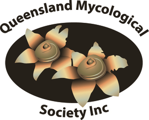 Queensland Mycological Society Logo